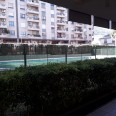 Ampliar imagen