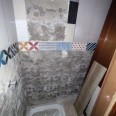 Ampliar imagen