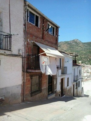 Ampliar imagen