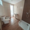 Ampliar imagen