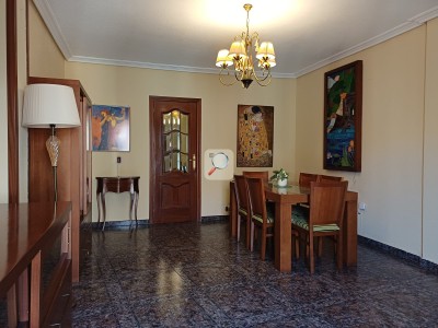 Ampliar imagen
