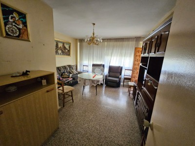 Ampliar imagen