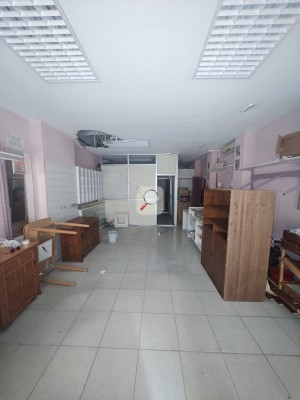 Ampliar imagen