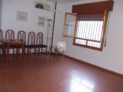 Ampliar imagen