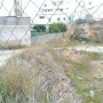 Ampliar imagen
